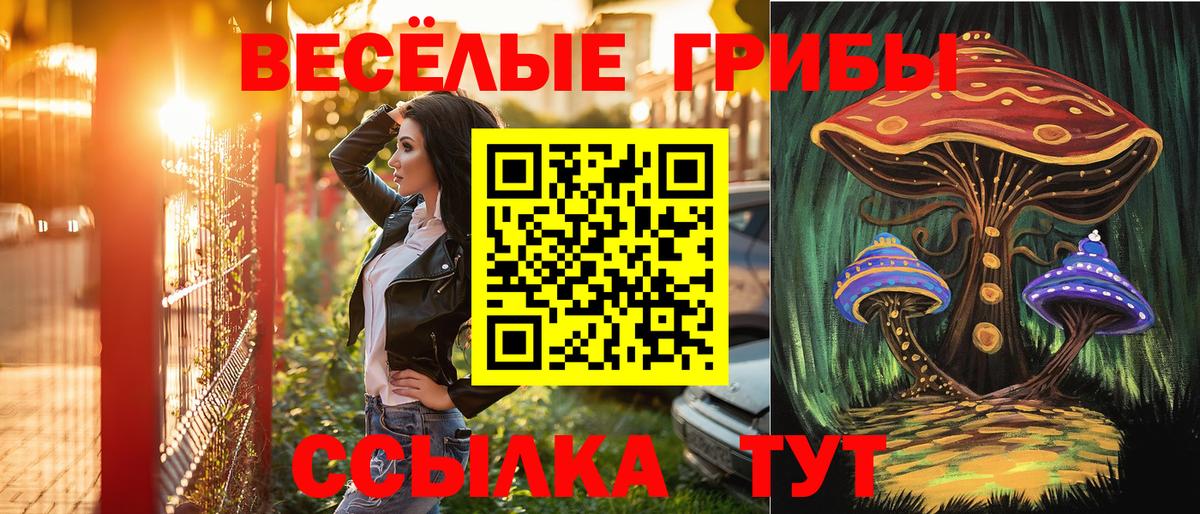 Псилоцибиновые грибы Psilocybine cubensis Кызыл