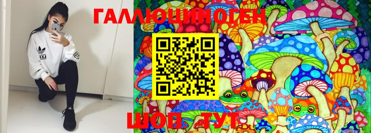 Псилоцибиновые грибы GOLDEN TEACHER  Вход с VPN  где купить наркотик  Кызыл 